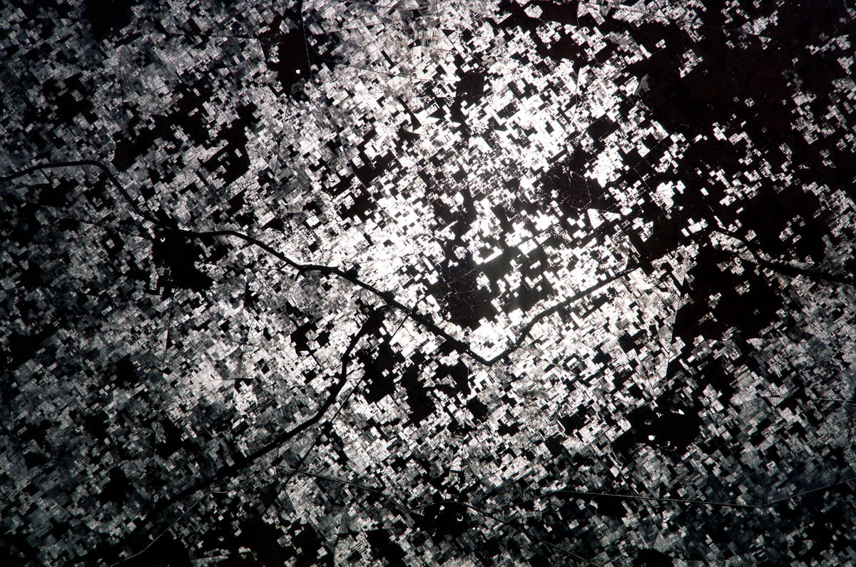 Zwart-wit foto van de boom / gratis HD bureaubladafbeelding 2020x1338