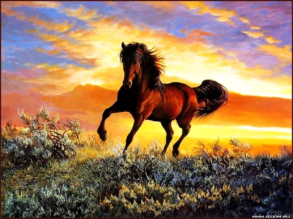 Achtergrond - bruin paard staande op gras bedekt veld