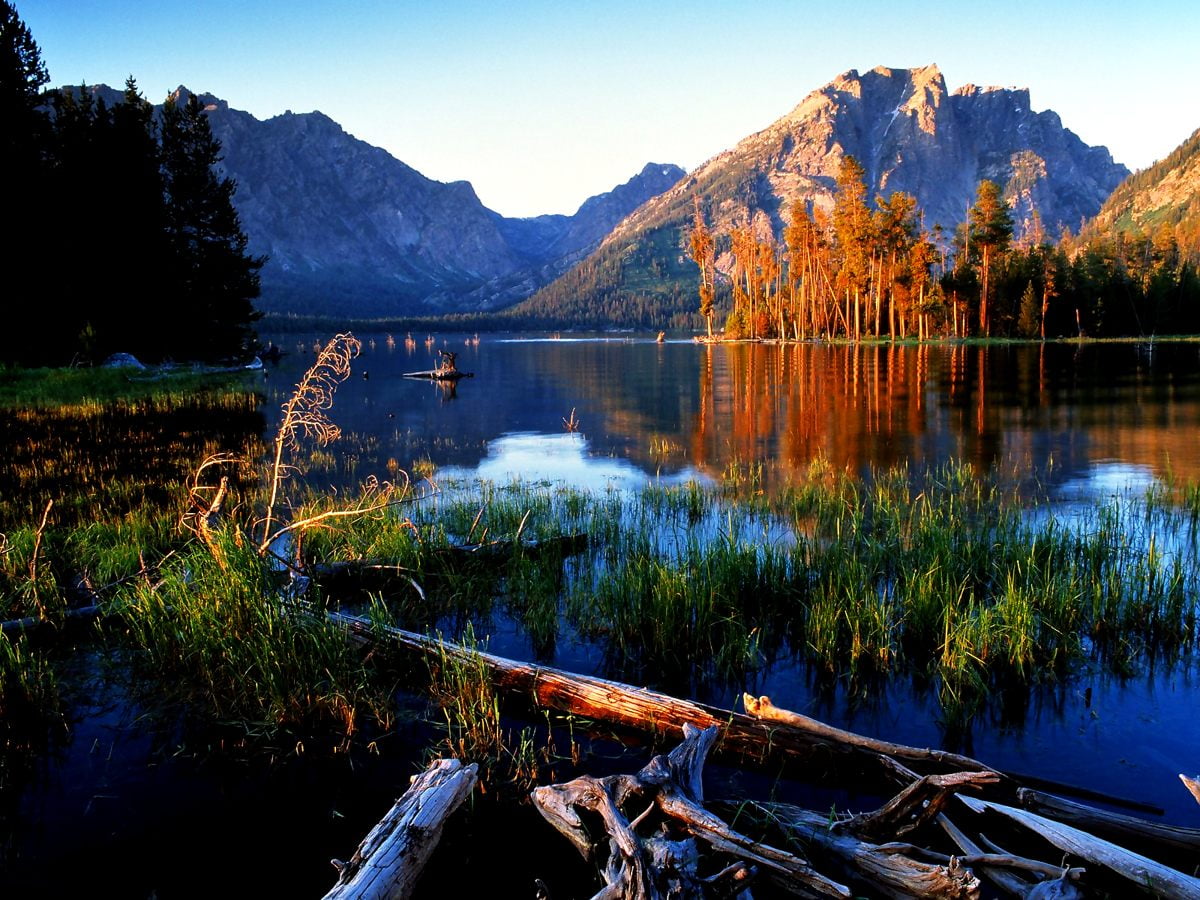 Achtergronden : rivier en berg (Grand Teton National Park, Wyoming, Verenigde Staten van Amerika)
