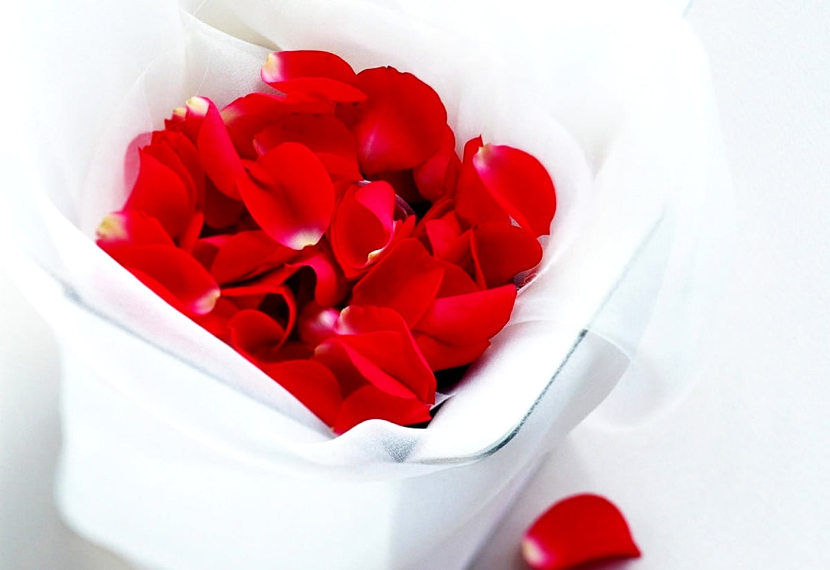 Liefde, bloemblad, rode, bloemen, roze : bureaublad achtergrond