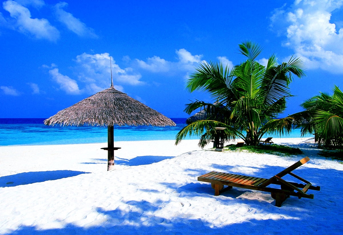 Bureaublad achtergrond — strand met palmbomen en zwembad 1600x1100
