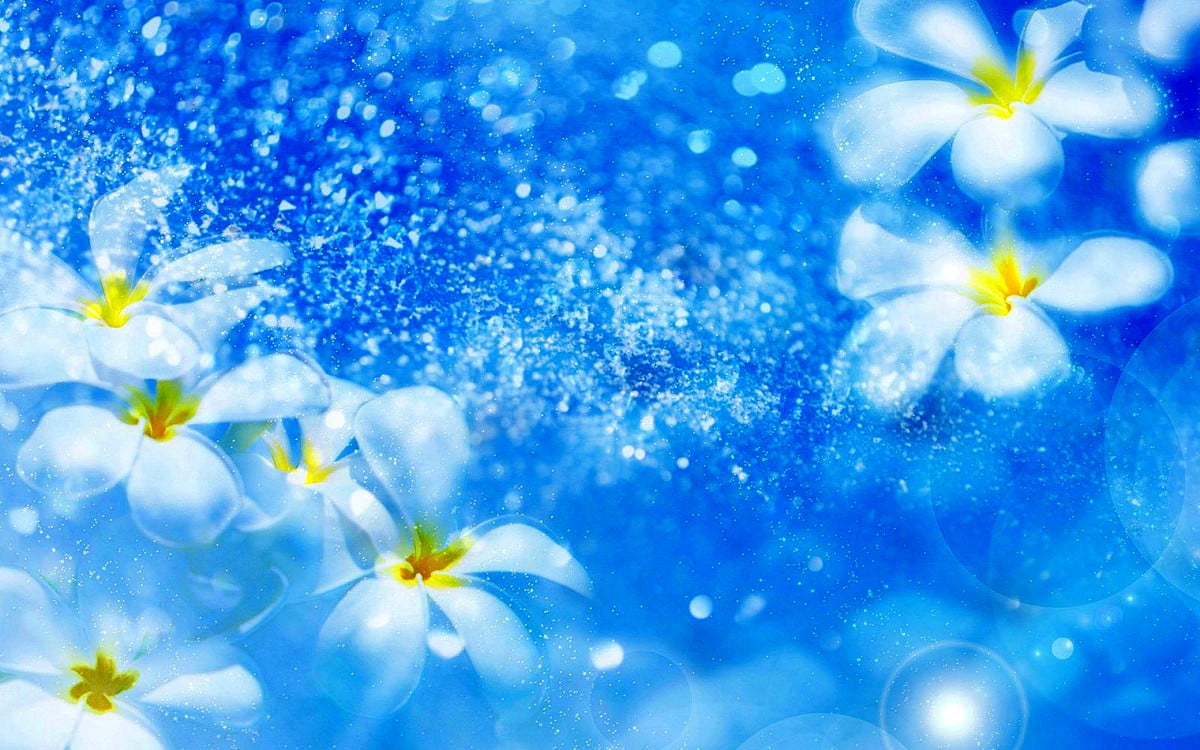 Tederheid, natuur, blauwe, bloemen, bloemblad / gratis achtergrond