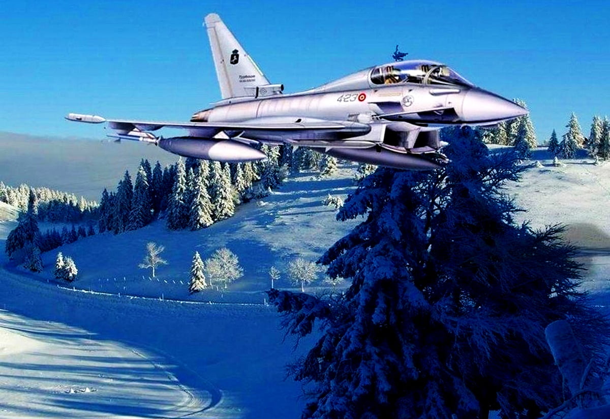 Vliegtuig dat is bedekt met sneeuw / achtergrond