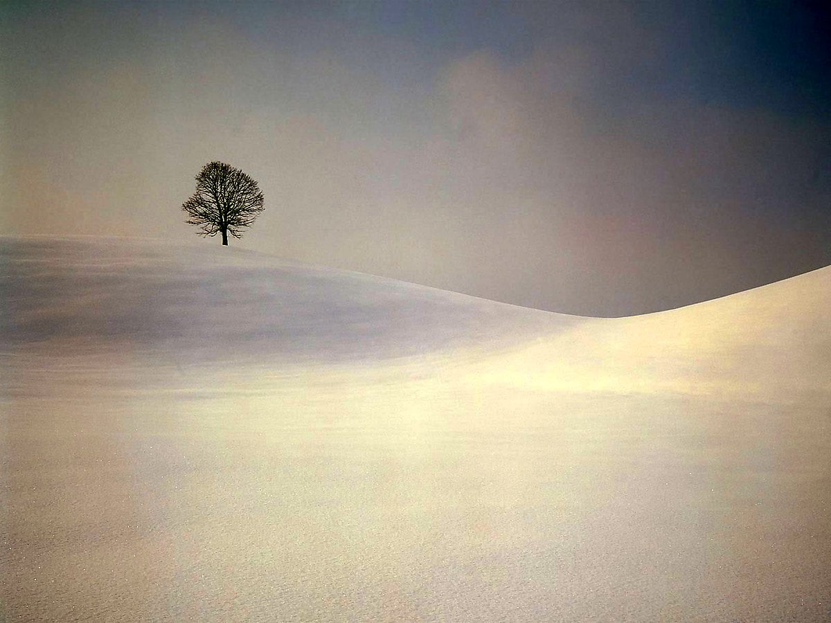 Mist, natuur, wolken, rust, bergen (Zwitserland) - gratis achtergrond afbeeldingen 1600x1200