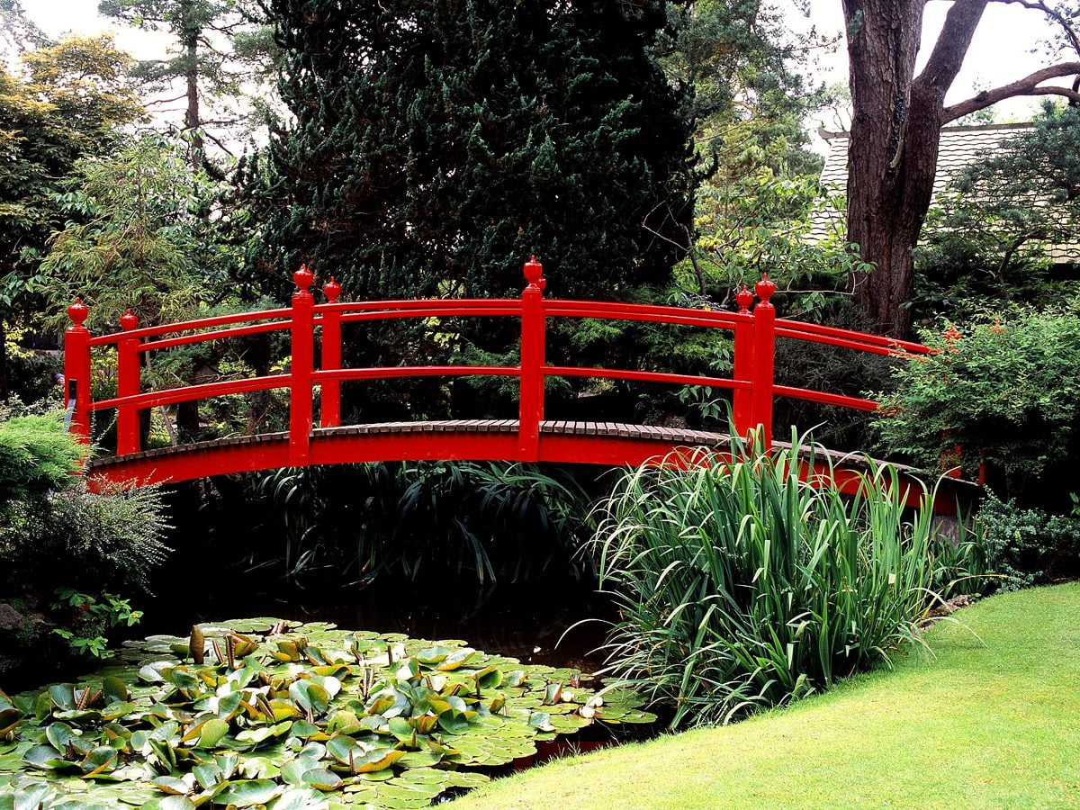 Botanische tuin, tuin-, brug, architectuur, park (Japan) - gratis achtergrond