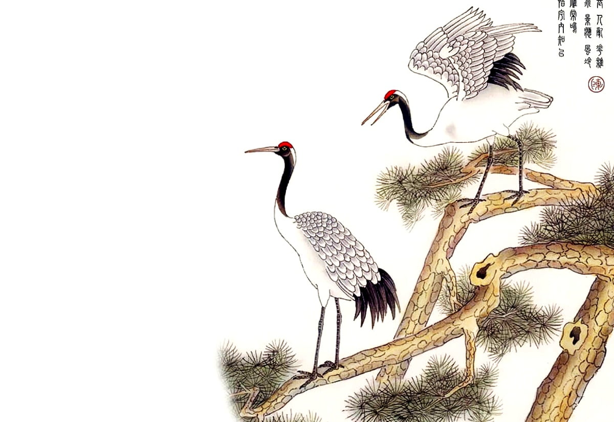 Vogel, Chinese kunst, Chinese schilderkunst, kraanvogel), Trompetkraanvogel ()