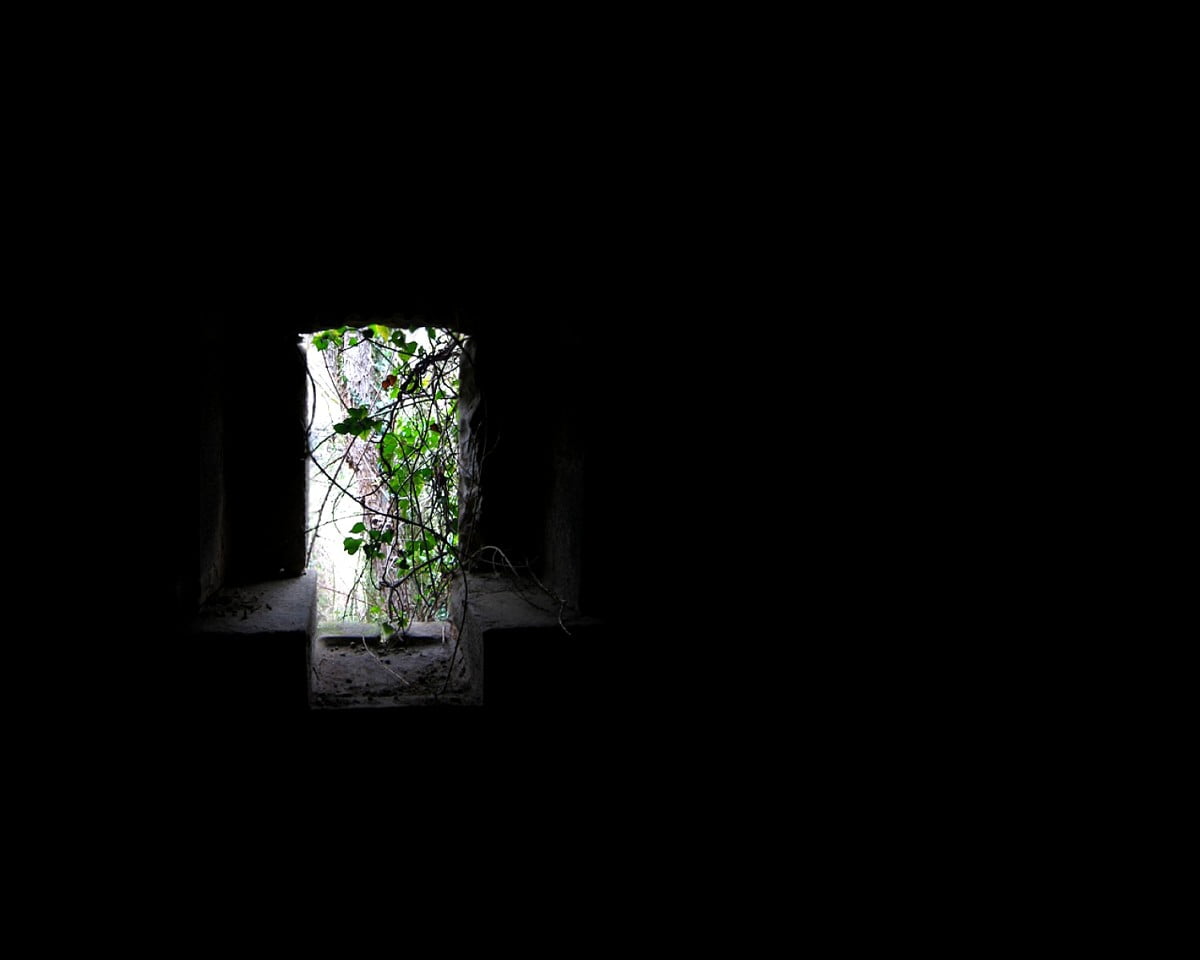 Vaas met bloemen zittend in een donkere kamer / gratis achtergrond 1500x1200