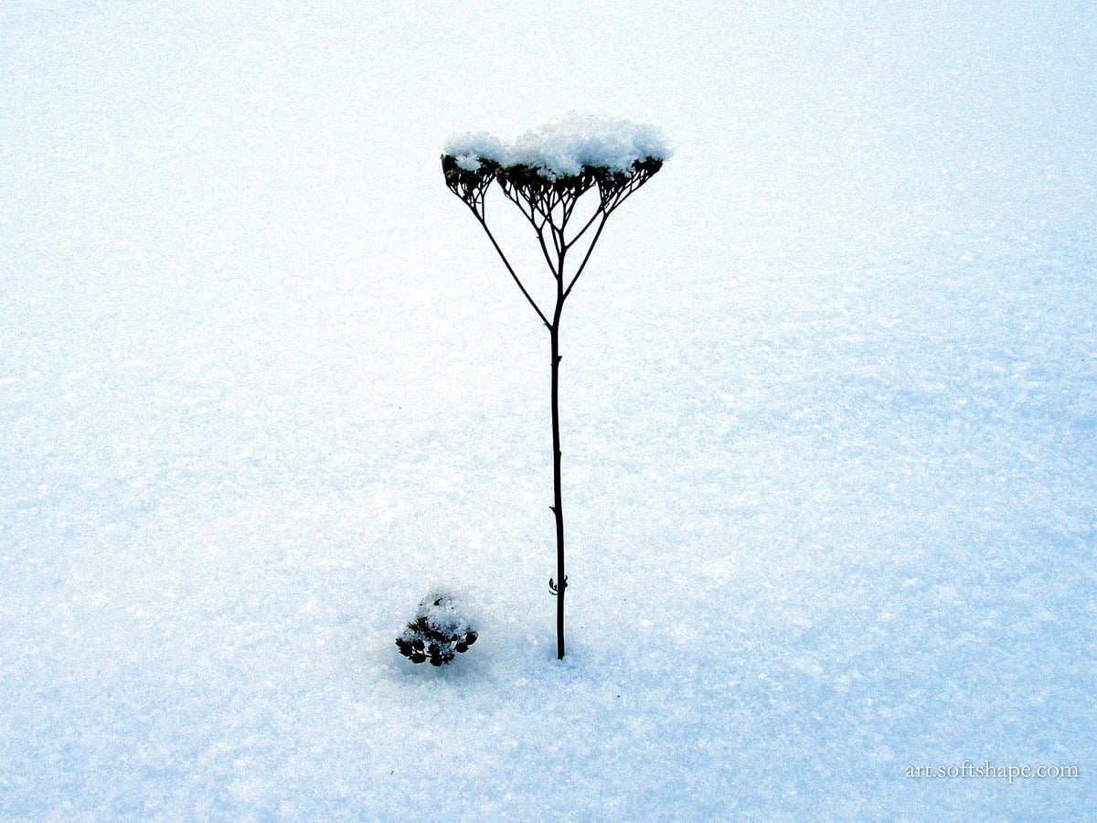 Persoon in de sneeuw — HD achtergrond 1600x1200