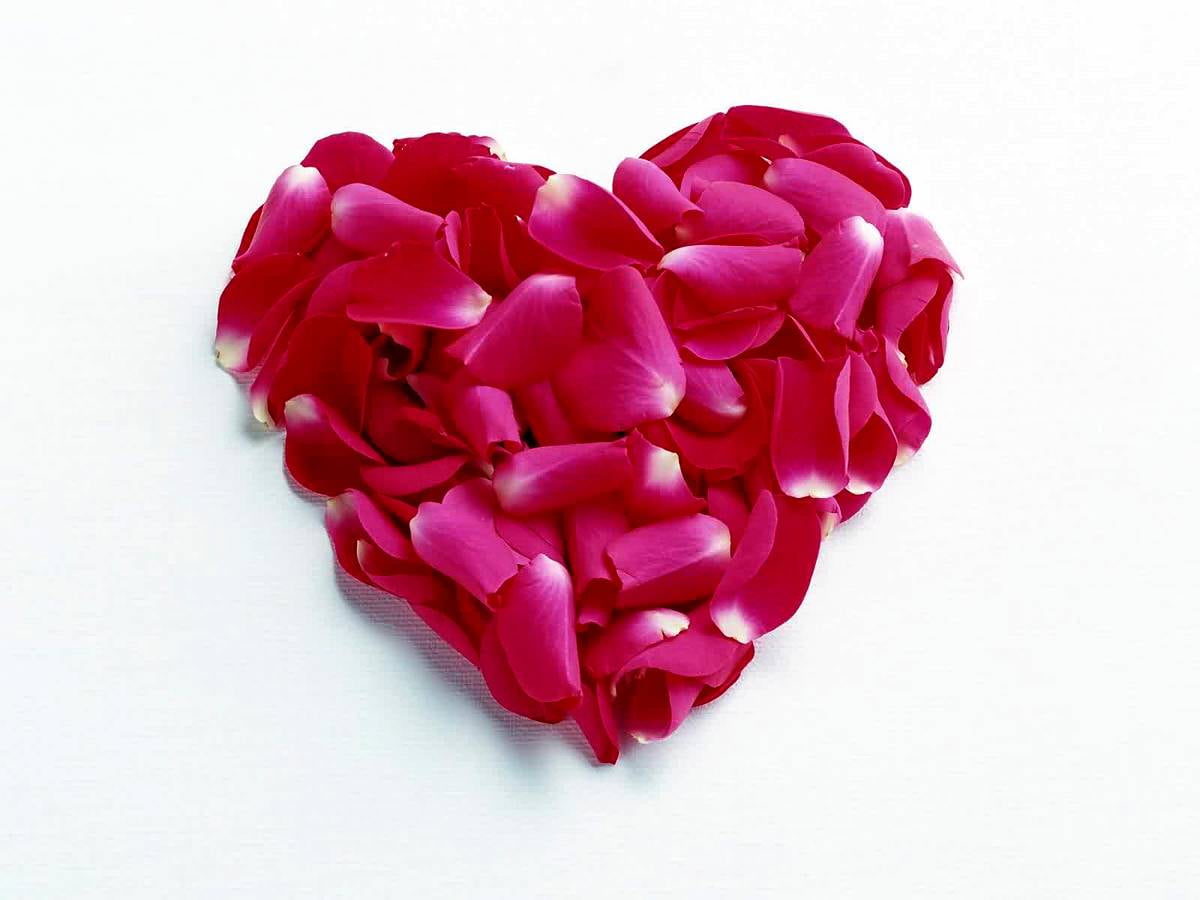 HD achtergrond afbeeldingen - Valentijn, roze, bloemblad, hart-, rode 1600x1200
