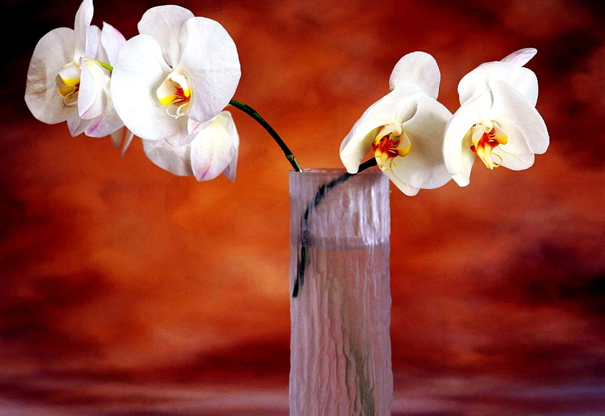 Vaas met bloemen op houten tafel / achtergrond (1600x1100)