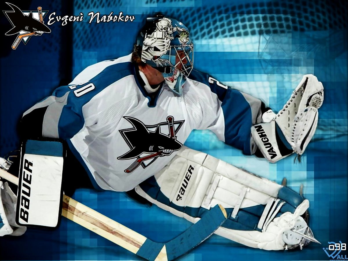 IJshockey –Goalie uitrusting kopen