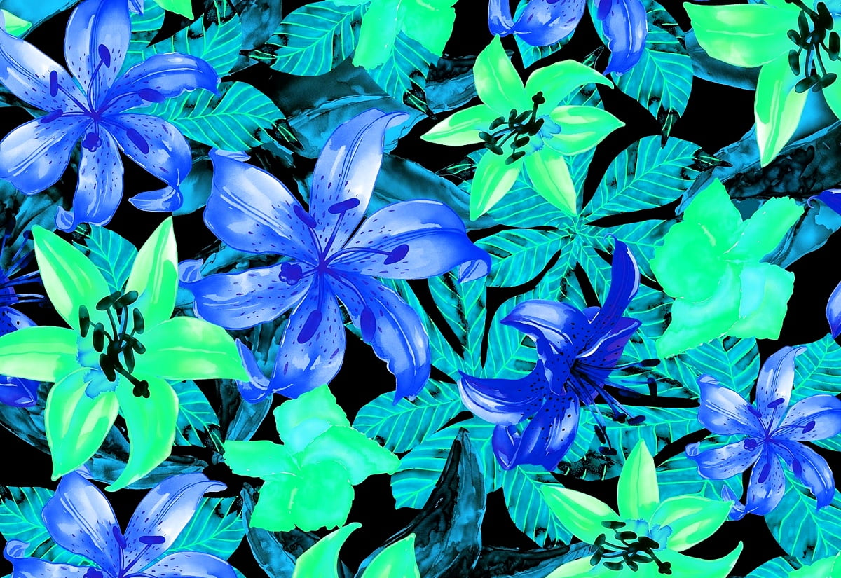 Geschilderde bloemen, bloemen, blauwe, bodembedekker, maagdenpalm / gratis achtergrond 1600x1100