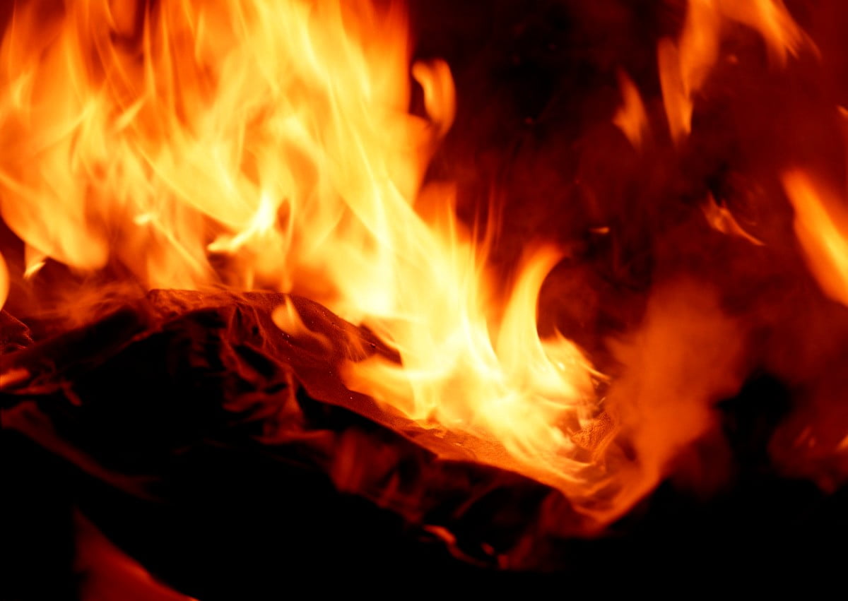 Vlammen, brand, natuur, honden, vreugdevuur : gratis HD afbeelding voor achtergrond 1600x1135