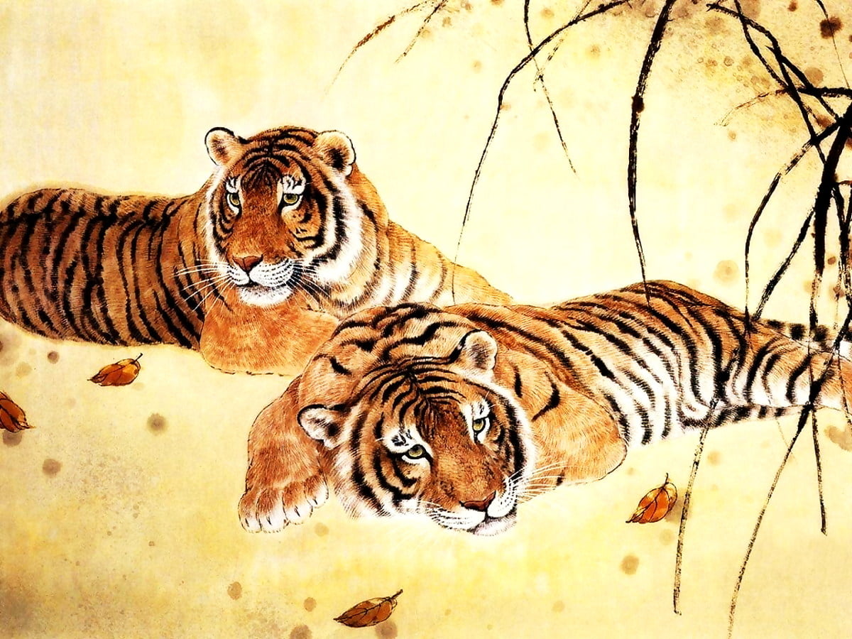 Tijger, Wildlife, Bengaalse tijger, Siberische tijger, dieren : gratis HD bureaubladafbeelding