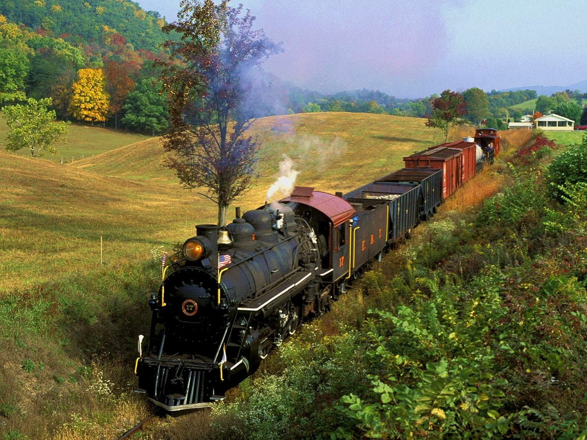 Trein Stoom Locomotief Natuur Bagagelabels 2 Pack PU Lederen Bagagelabels Privacy Bescherming