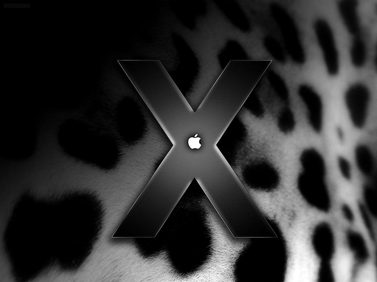 Mac OS X Leopard, zwart-witte, katten, monochrome, Patroon - gratis achtergrond afbeeldingen 1600x1200