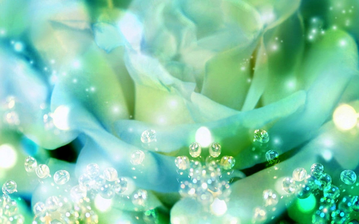 Afbeelding voor achtergrond : tederheid, groene, aqua, bloemen, dauw (1600x1000)