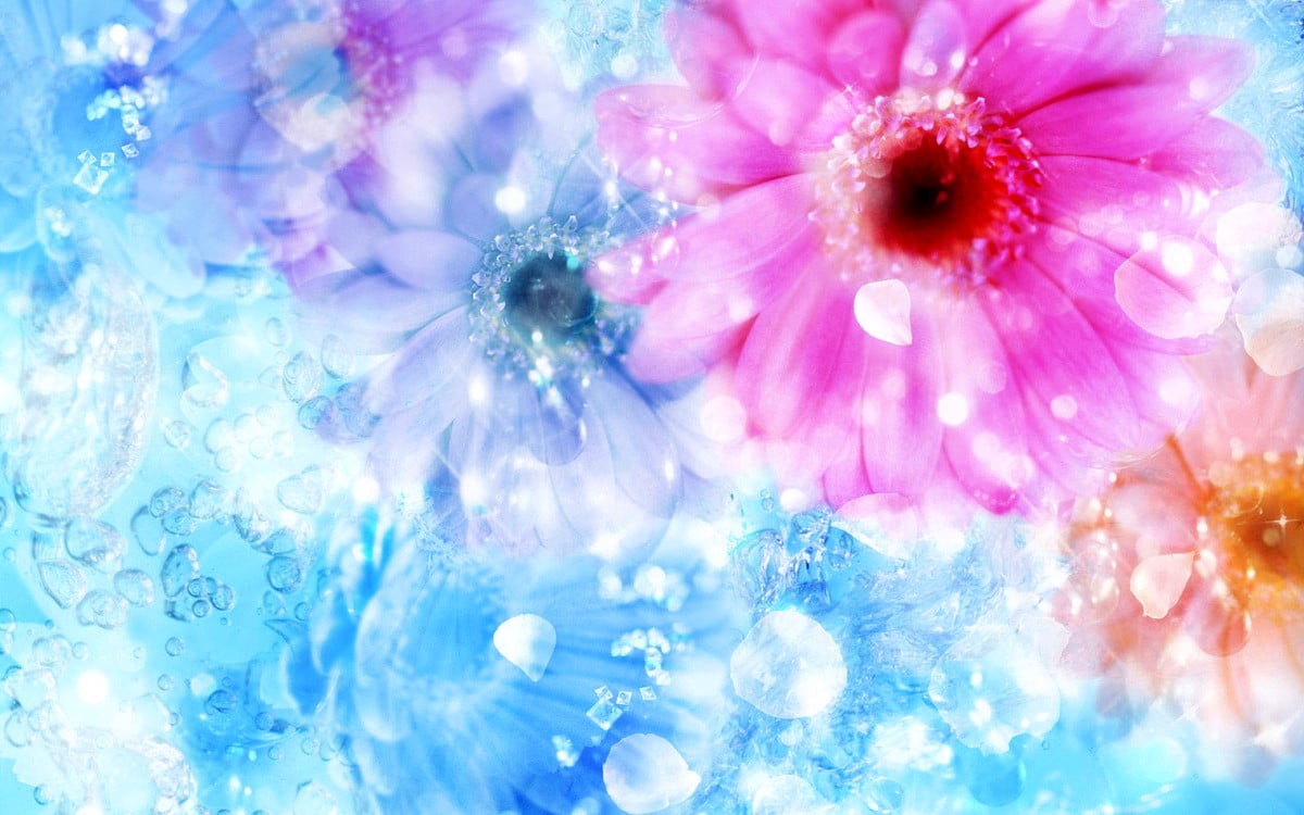 Tederheid, blauwe, roze, bloemen, bloemblad — bureaublad achtergrond