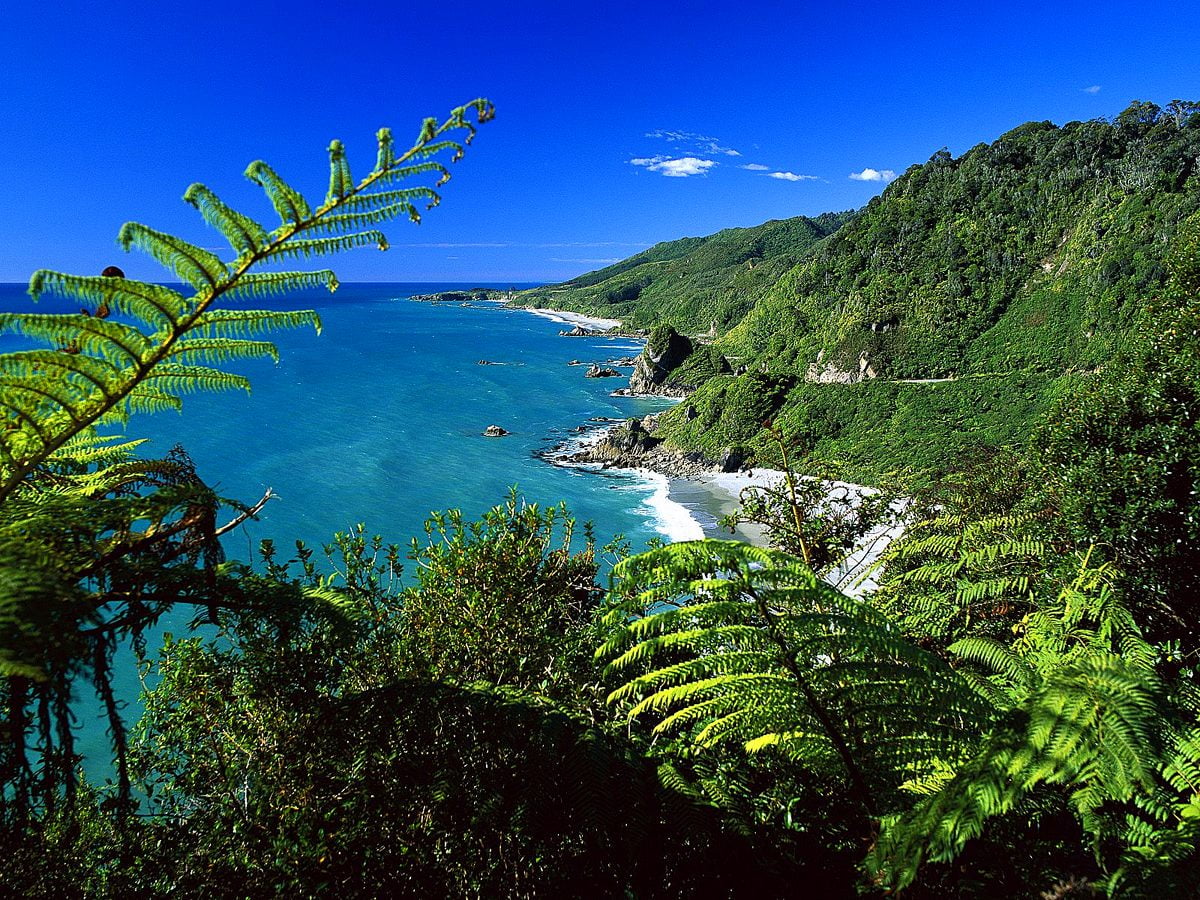 Afbeelding voor achtergrond : meer omgeven door bomen (Nationaal park Paparoa, Nieuw-Zeeland) 1600x1200