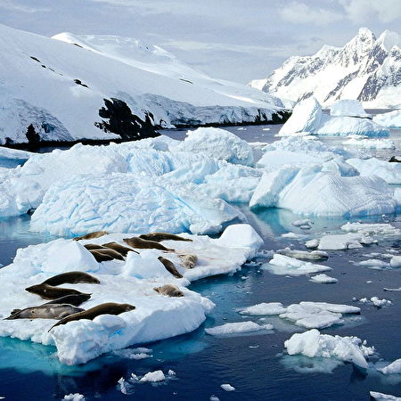 Gletsjermeer: 55+ achtergronden