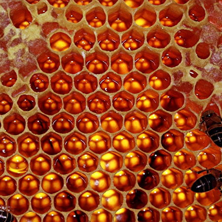 Honingraat: 4 achtergronden
